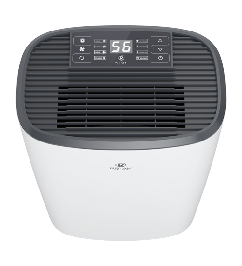Осушитель воздуха Royal Clima серии CARISMA Loft RD-CR20-E