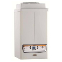 3.025620 Immergas VICTRIX PRO 100 2 ErP (одноконтурный)